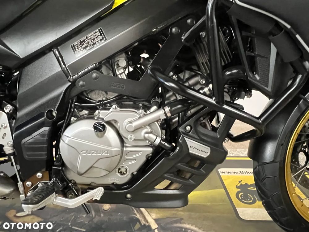 Suzuki DL - 11