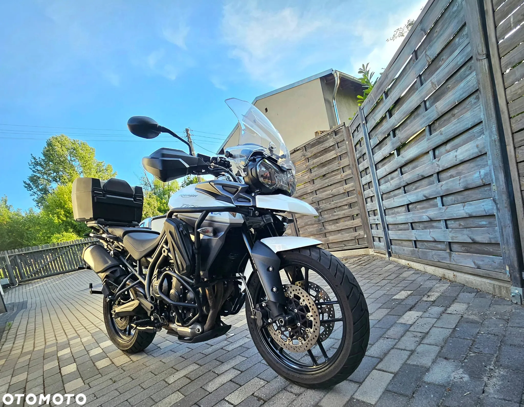 Triumph Tiger - 7