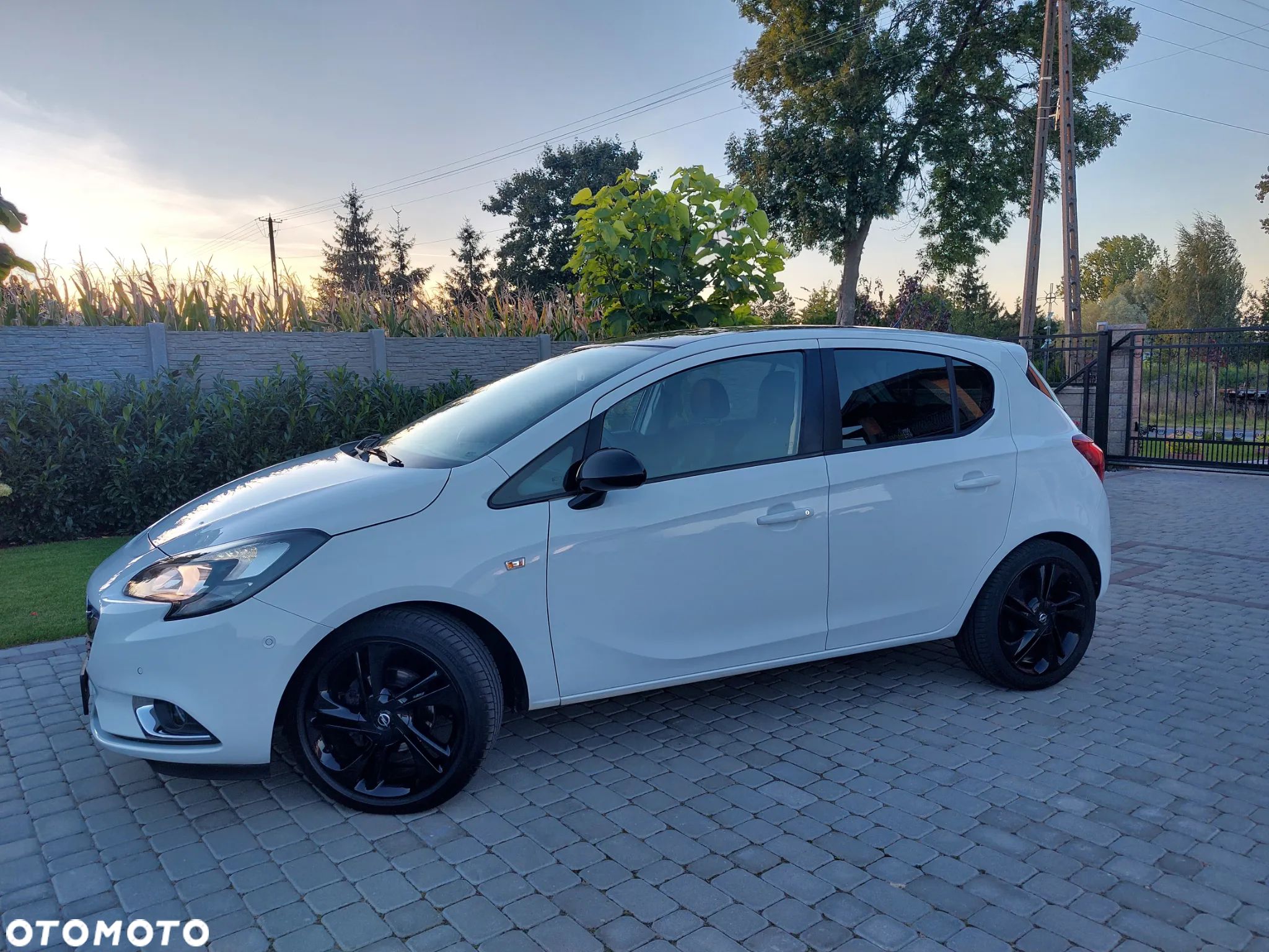 Opel Corsa 1.4 Color Edition S&S - 1