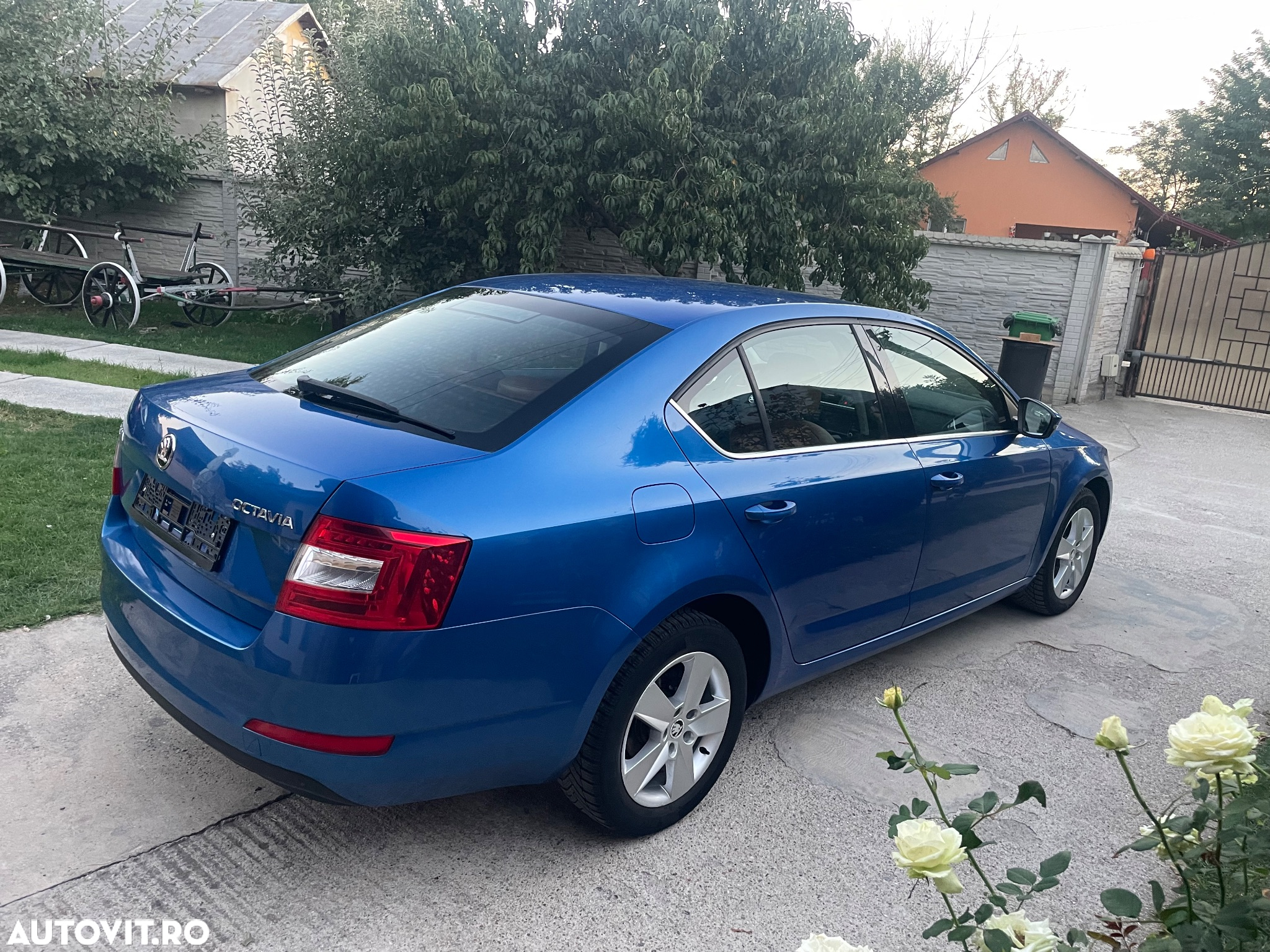 Skoda Octavia - 4