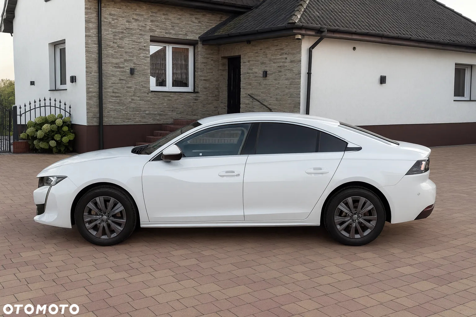 Peugeot 508 1.5 BlueHDi Allure S&S EAT8 - 7