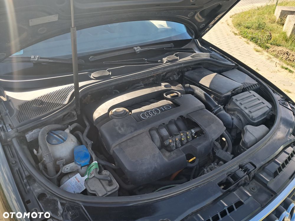 Audi A3 3-drzwiowe 1.6 Ambition - 12