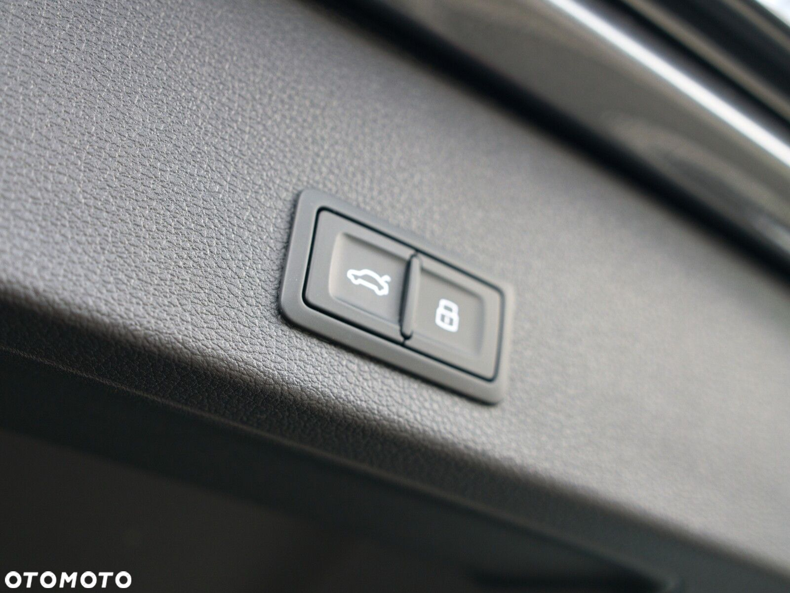 Audi SQ2 - 38