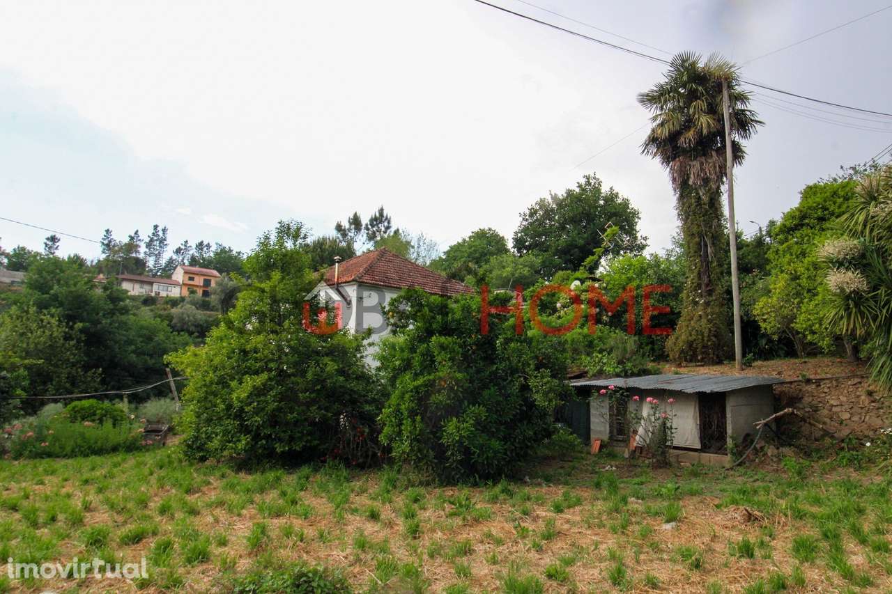 Moradia T4 Independente com Terreno em Melres - Grande imagem: 4/29