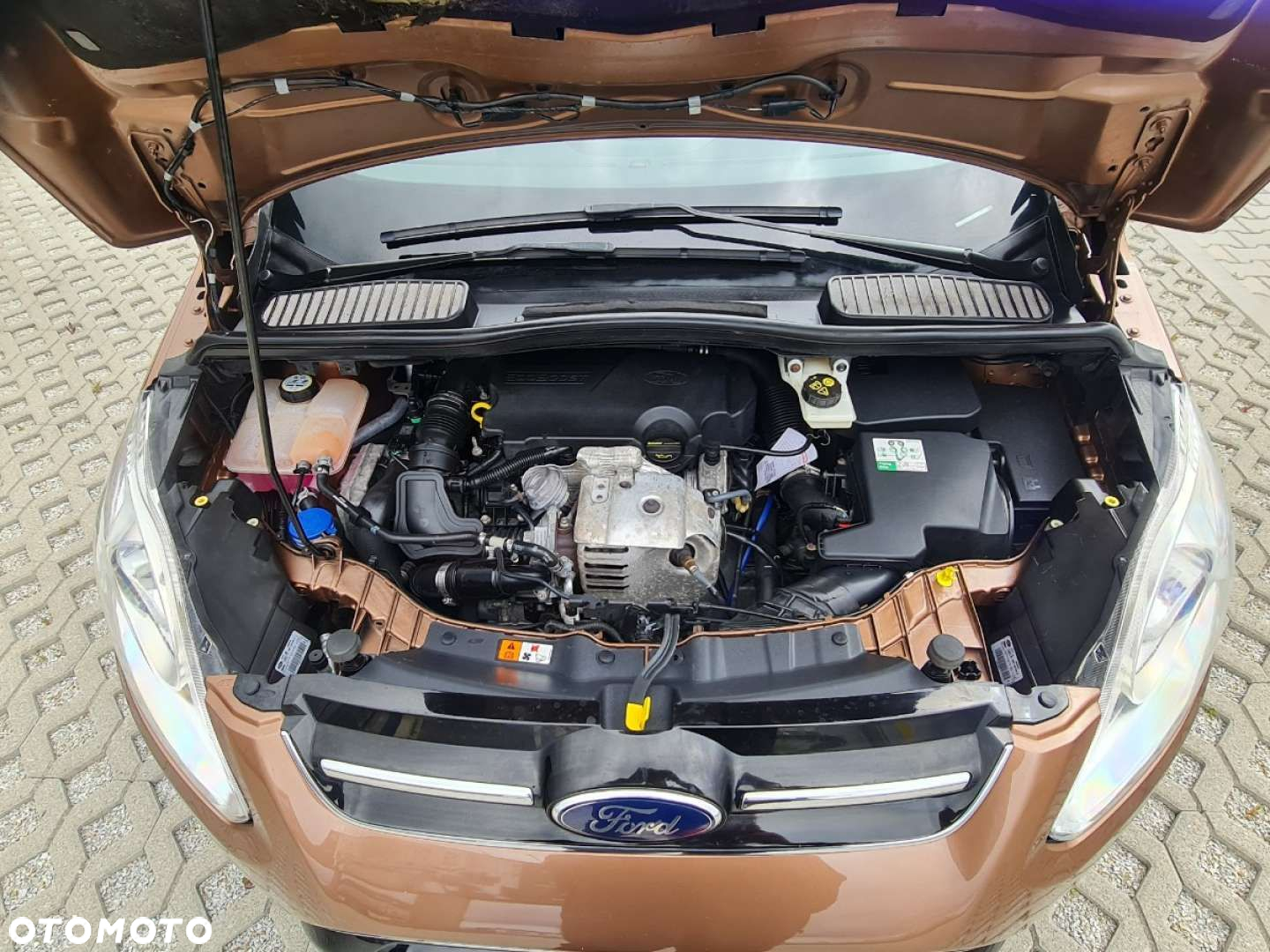 Ford C-MAX - 23