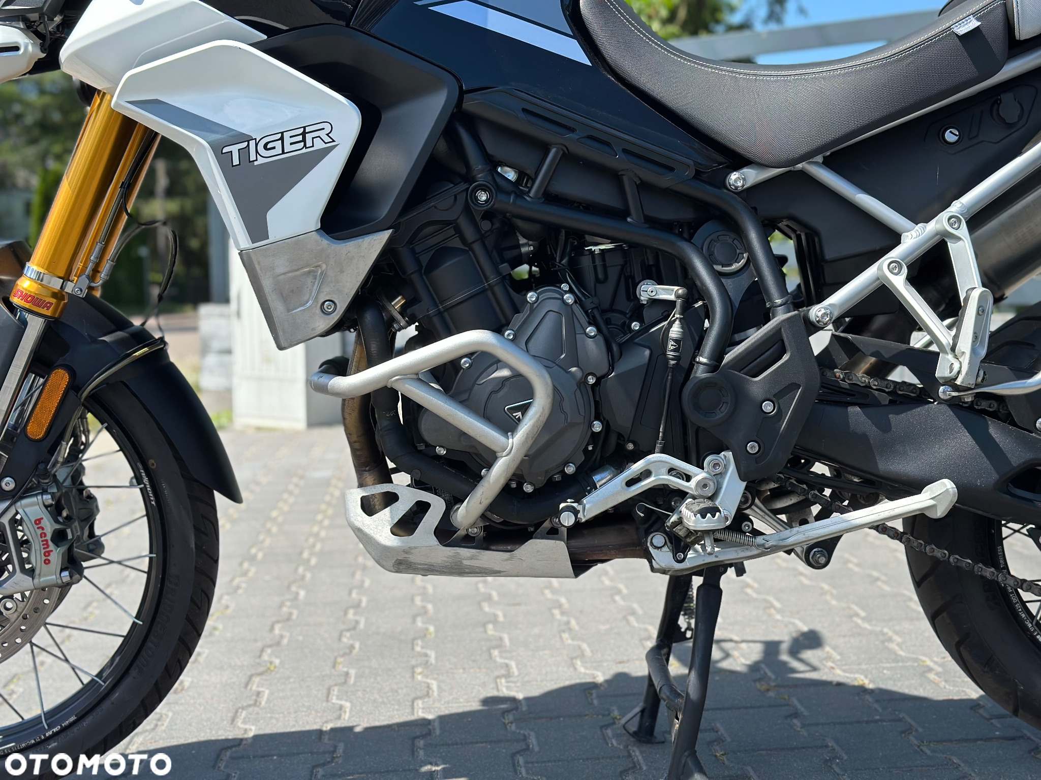 Triumph Tiger - 15