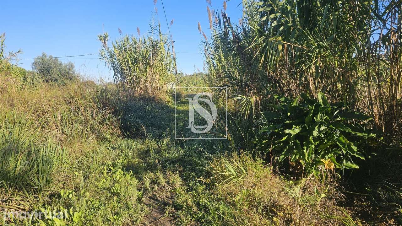 Terreno  Venda em Alqueidão,Figueira da Foz - Grande imagem: 3/42