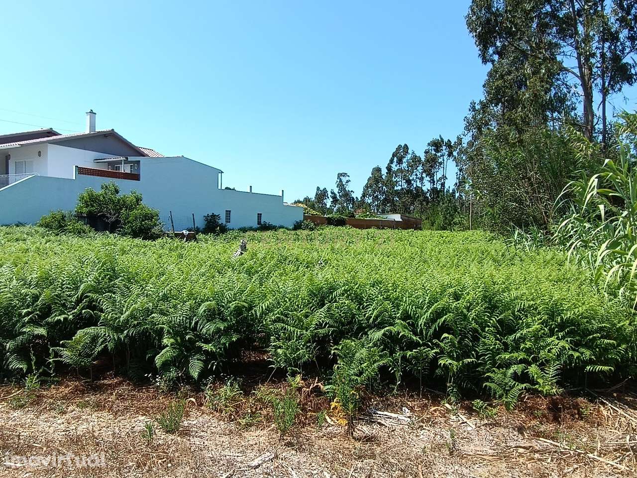 Terreno com 1.600 m² e viabilidade de Construção em Pilado, Marinha Gr - Grande imagem: 3/11