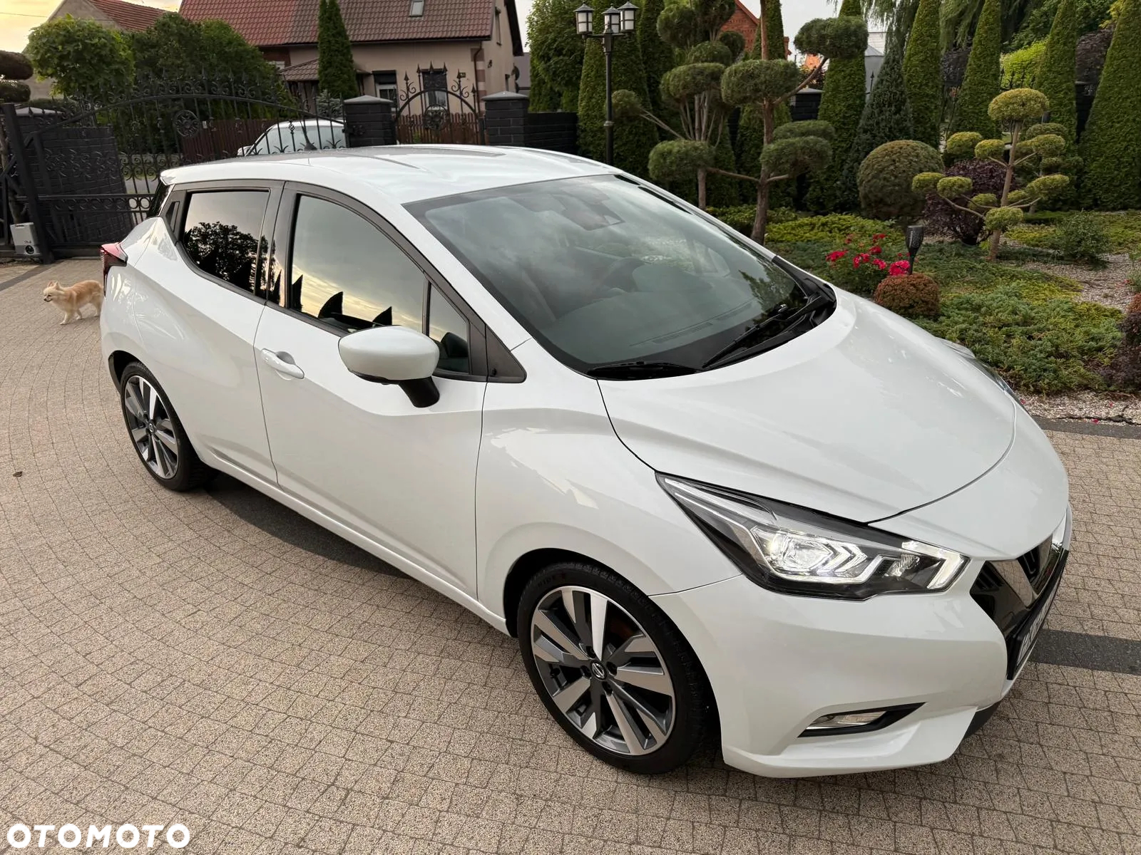 Nissan Micra 1.5 dCi Tekna - 2