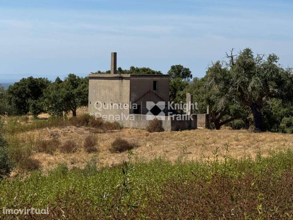 Terreno com 22,5 hectares em Santa Cruz, Santiago do Cacém - Grande imagem: 2/25