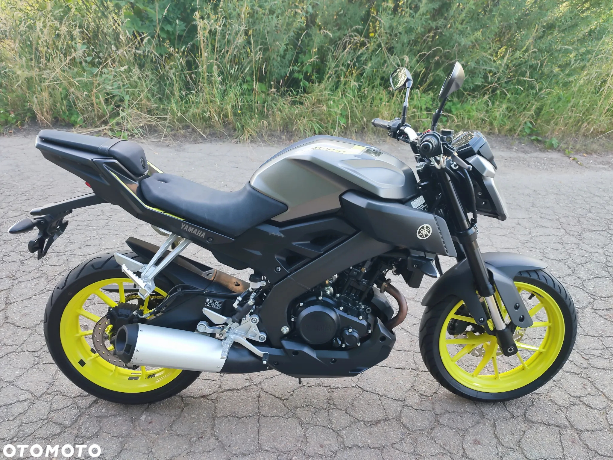 Yamaha MT - 6