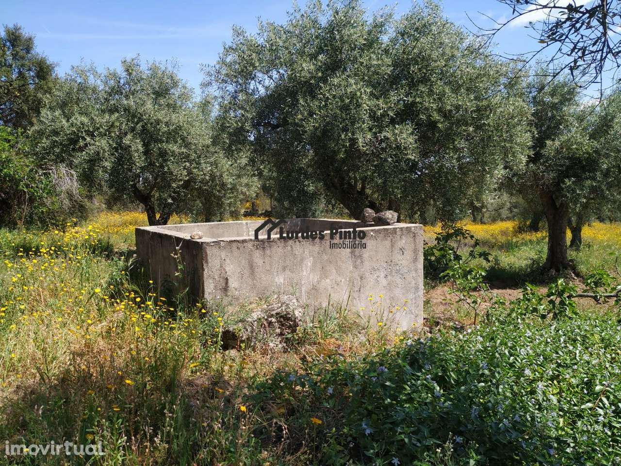 Terreno em Palvarinho - Grande imagem: 2/13