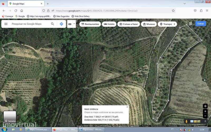 Terreno de cultivo Olival + Souto + zona de mato - Grande imagem: 2/4