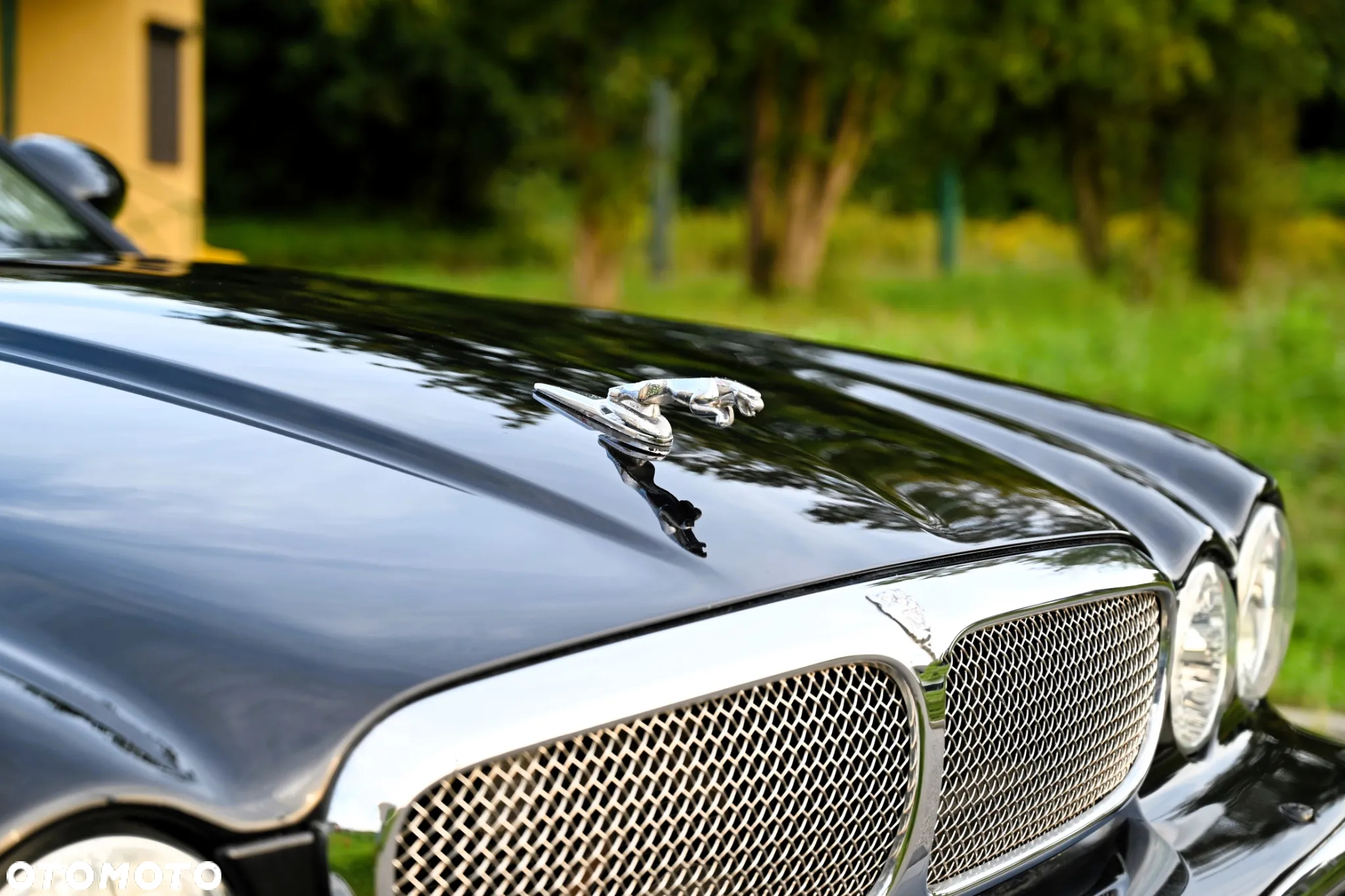 Jaguar XJ XJ8 4.2 Executive - 35