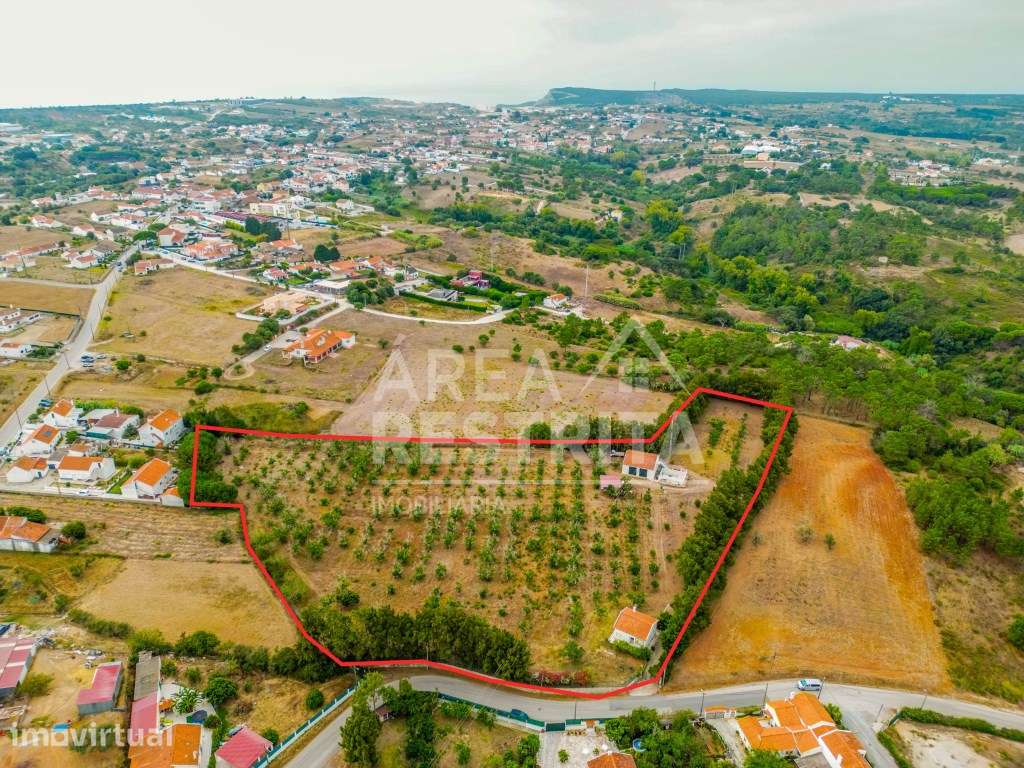 QUINTA COM MORADIA - Sesimbra - Grande imagem: 2/31