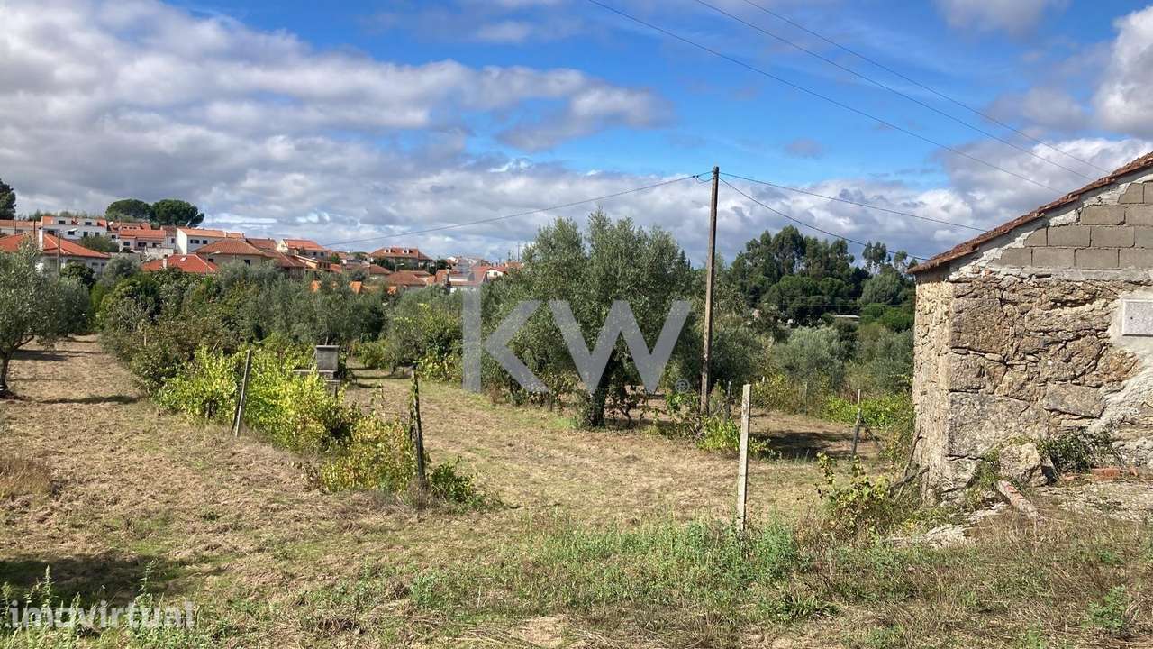 Terreno em Vila do Mato, Tábua - Grande imagem: 2/6