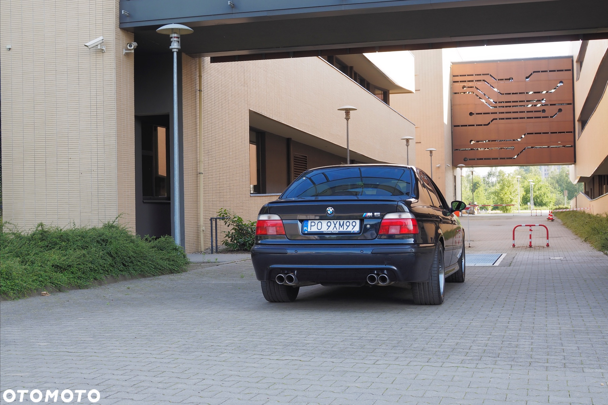 BMW M5 Standard - 5