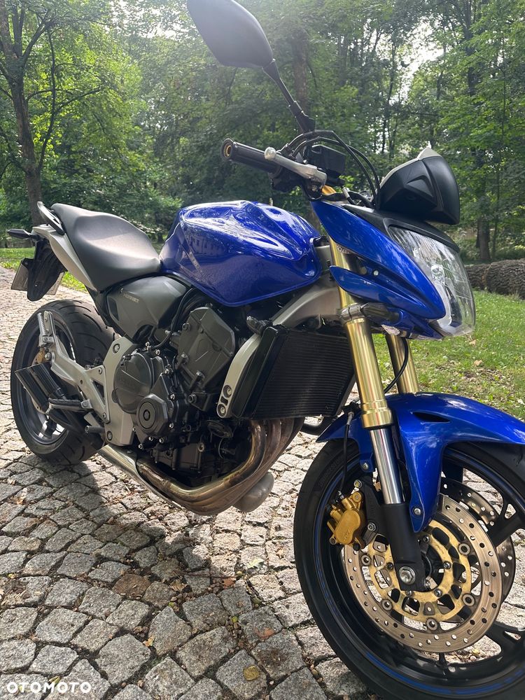 Honda Hornet - 10