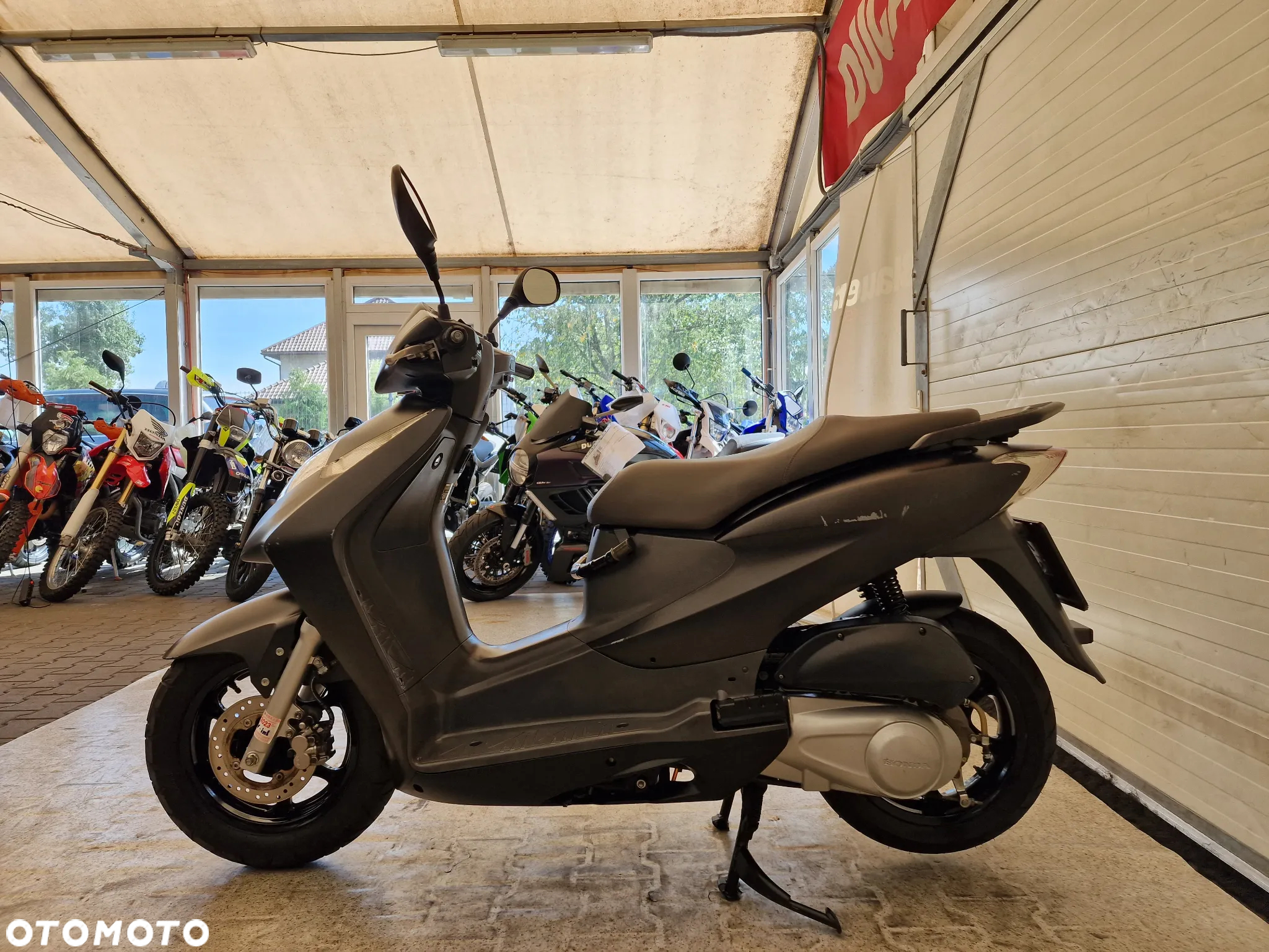 Honda Dylan - 20
