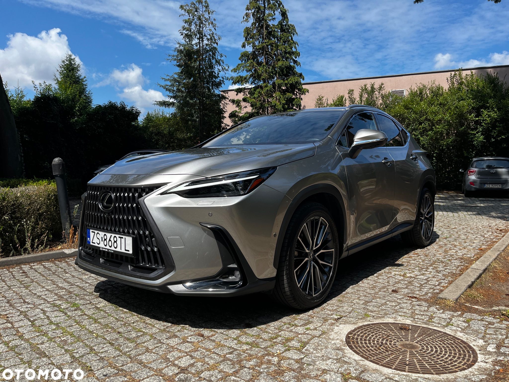 Lexus NX 350h Omotenashi AWD - 1