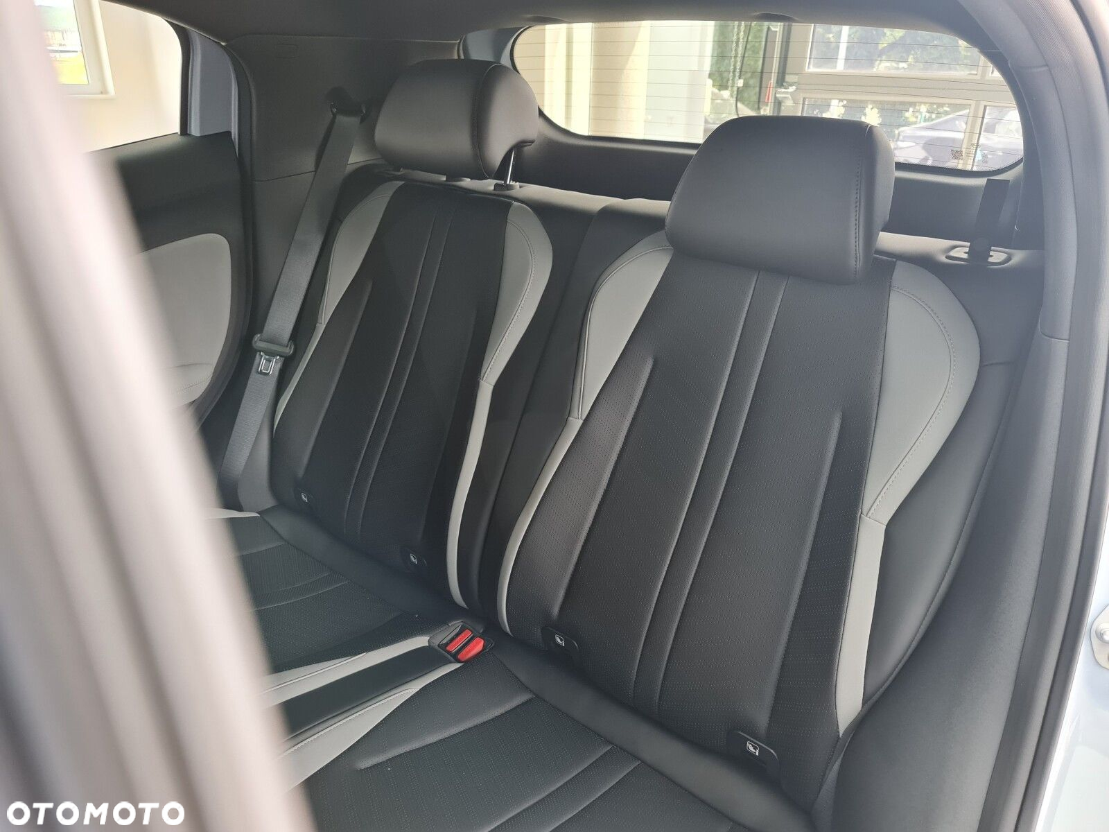 BYD Dolphin Surf - 22