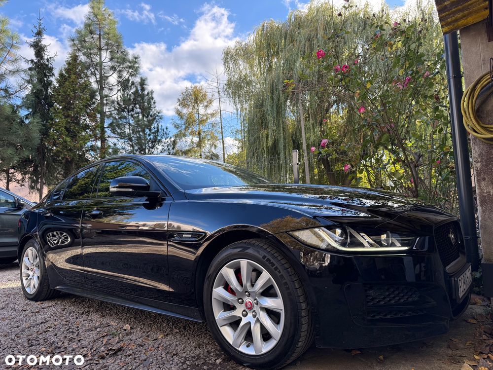 Jaguar XE - 23