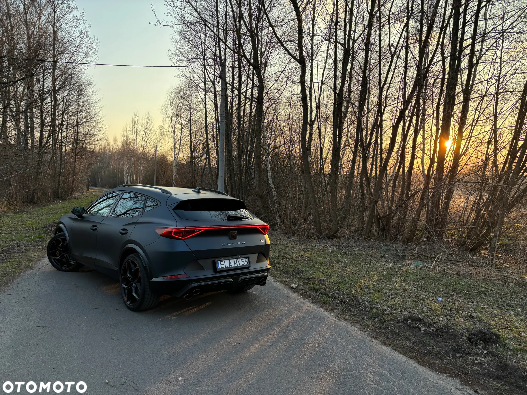 Cupra Formentor 2.5 TSI 4Drive VZ5 DSG - 20