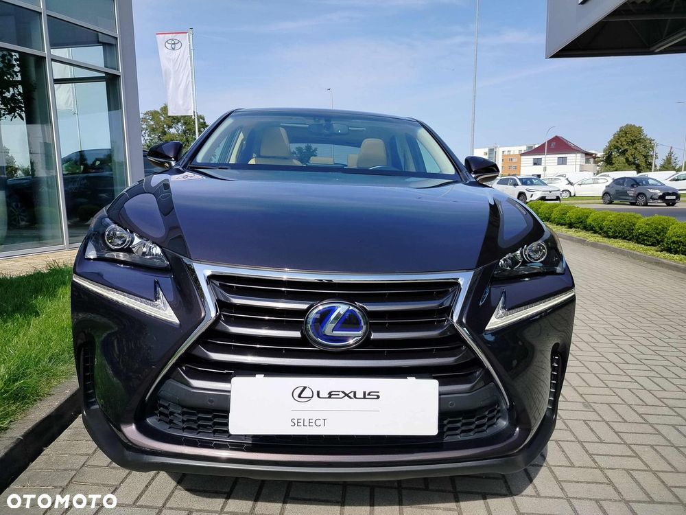 Lexus NX 300h Comfort AWD - 2