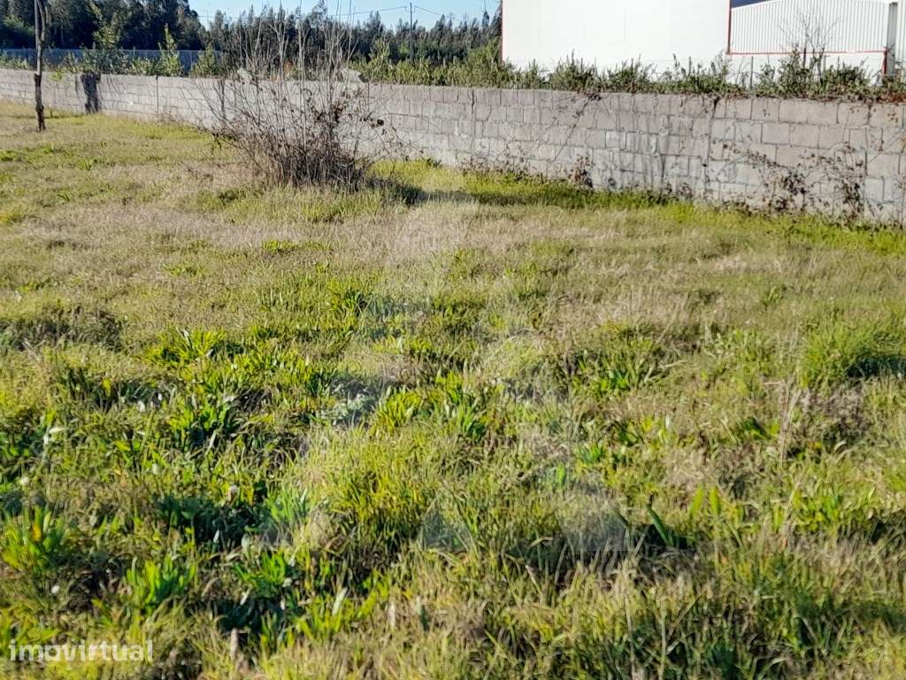 Terreno com viabilidade de construção, sito em Calvão, Vagos - Grande imagem: 3/9