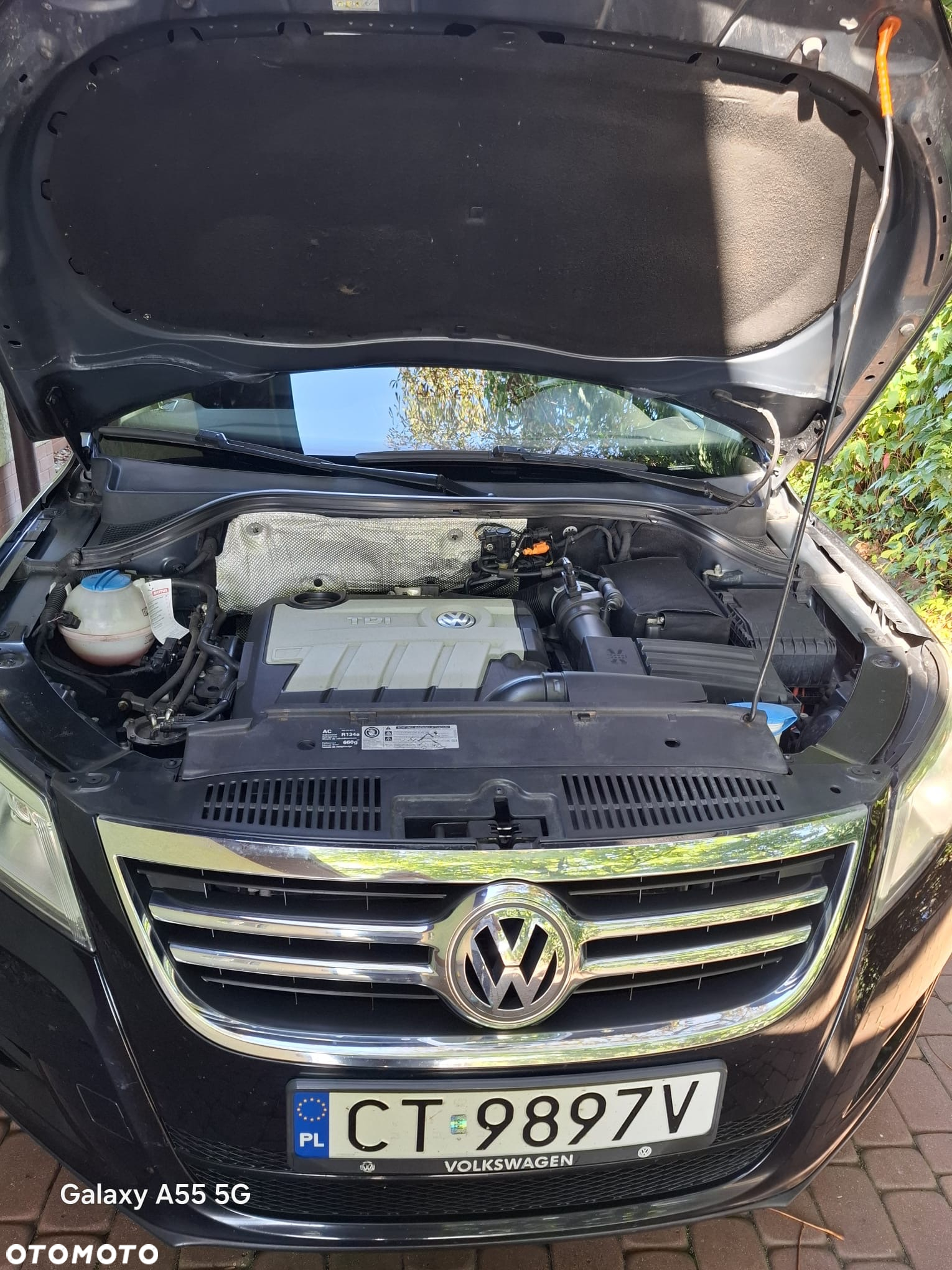 Volkswagen Tiguan - 9