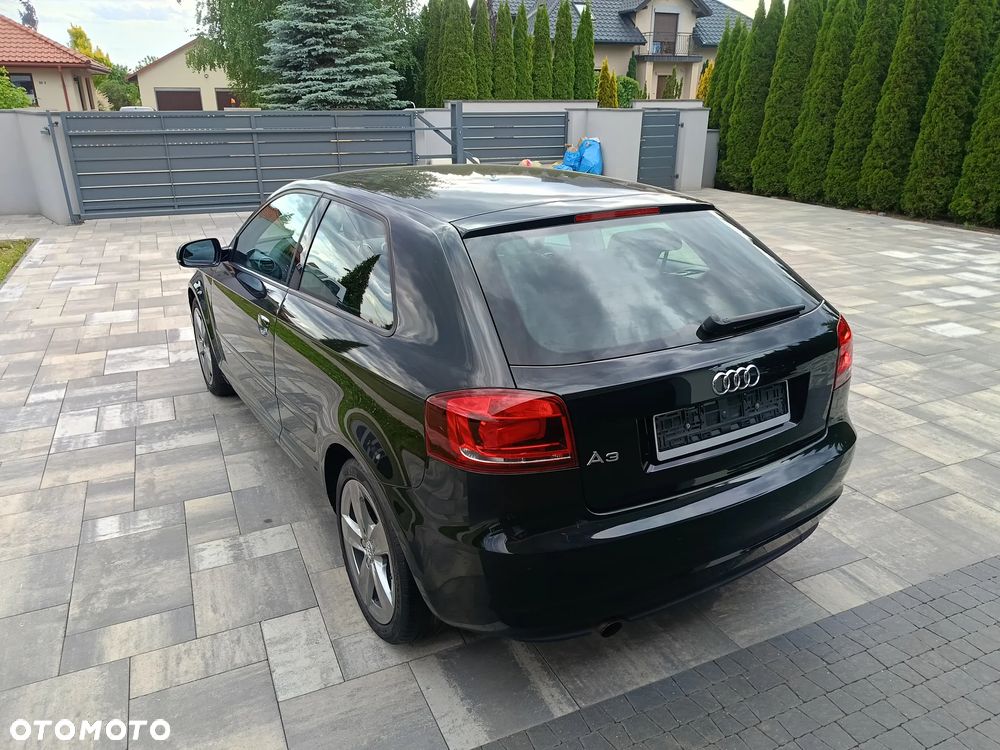 Audi A3 3-drzwiowe 1.6 Limited Edition - 13