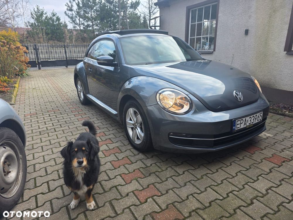 Volkswagen Beetle 2.0 TDI Sport DSG - 15