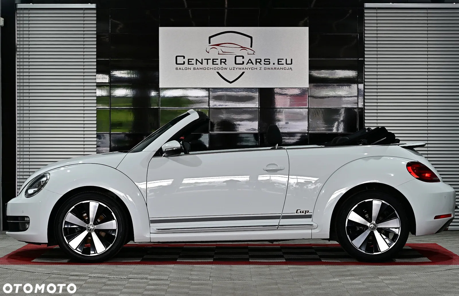 Volkswagen Beetle - 17