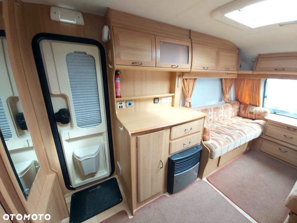 Avondale Argente - 10