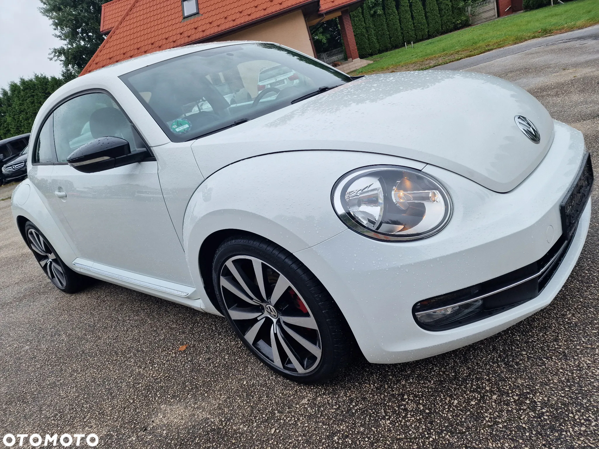 Volkswagen Beetle - 2