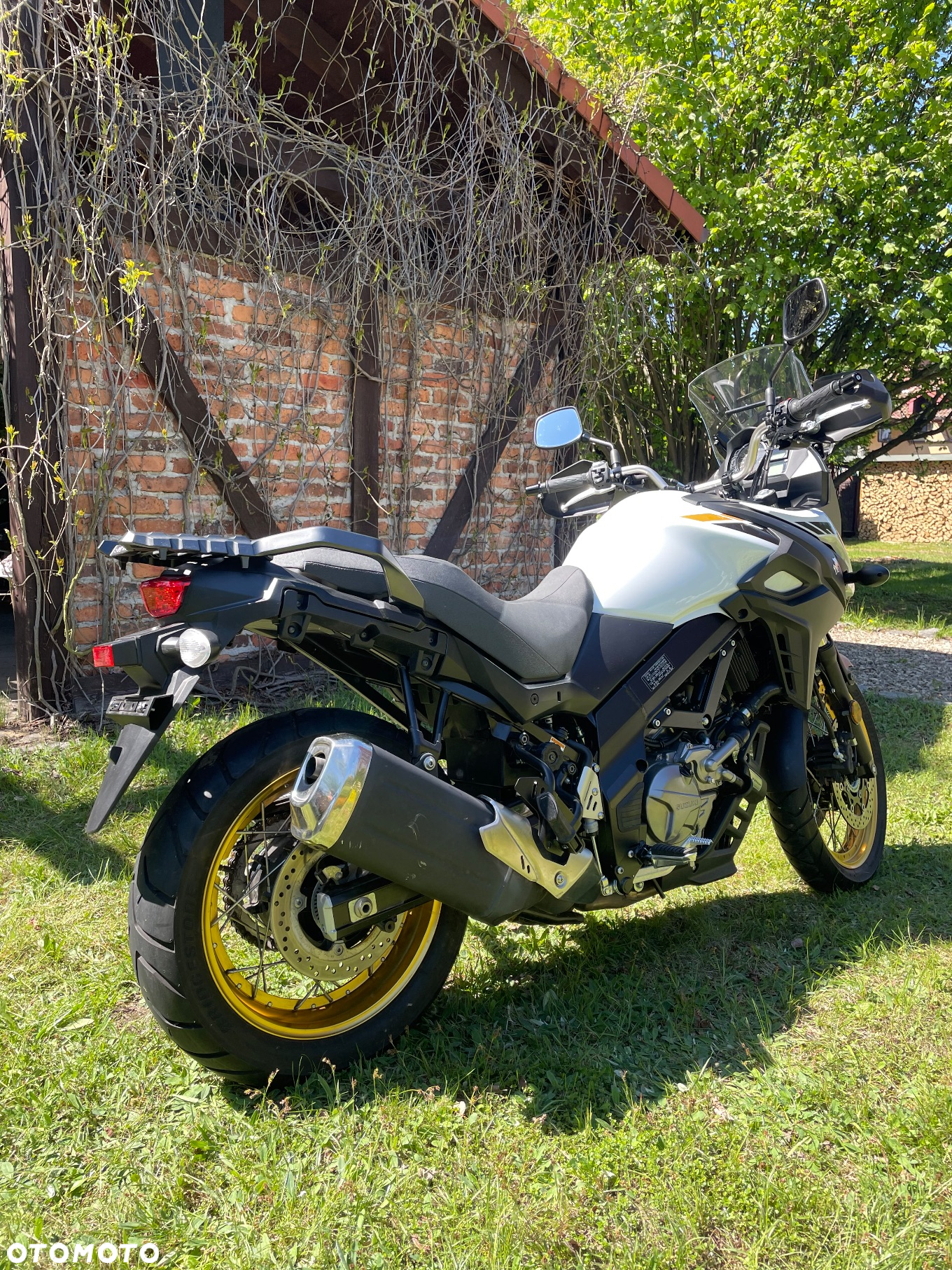 Suzuki DL