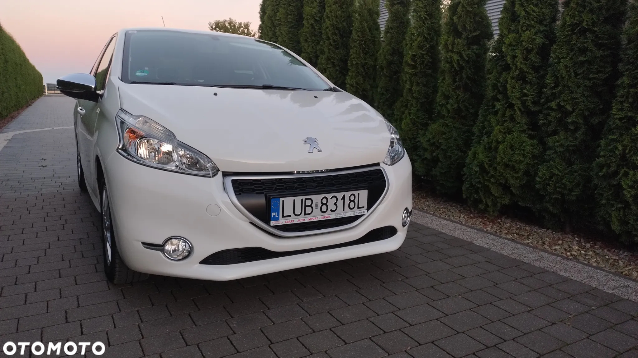 Peugeot 208 - 25