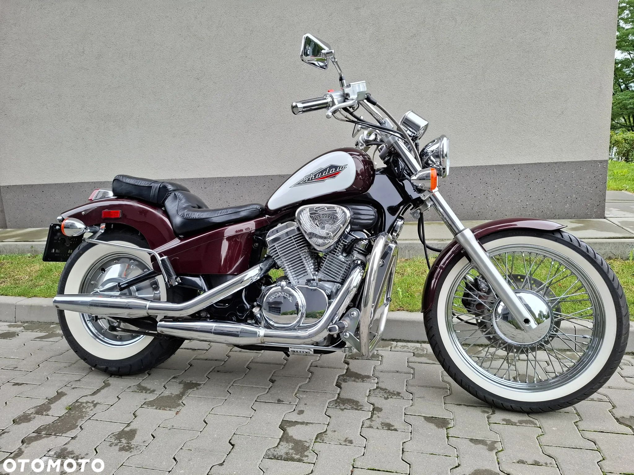 Honda Shadow - 1