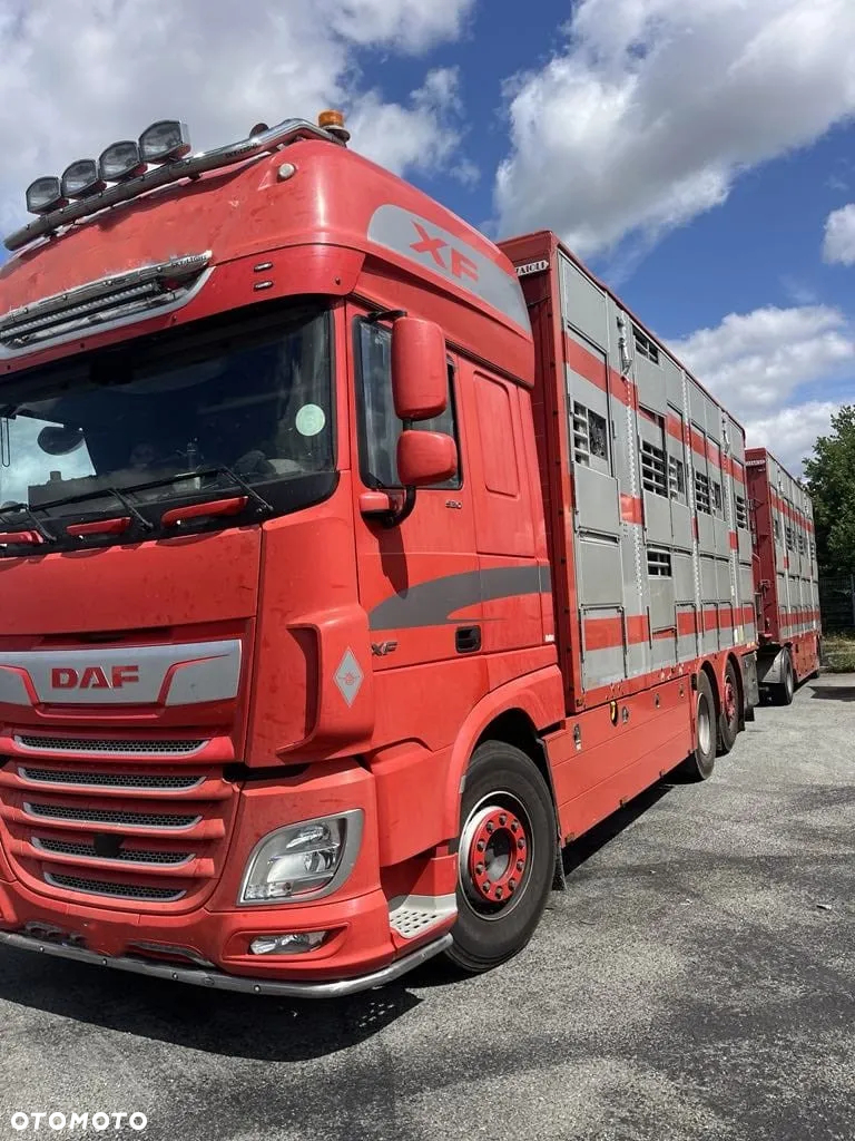 DAF XF 460 + Przyczepa Pezzaoli - 3X Trzoda, 2 X Bydło I 3 poziomy  I Podnoszony dach I Hydroburta I Osie Skrętne I Poidła I Wentylatory I Pilot Manualny | Euro5 - 2