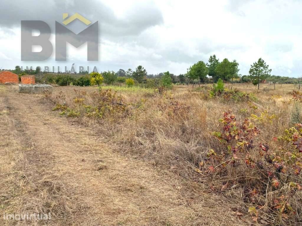 Propriedade com 7.800m2 - Grande imagem: 4/21