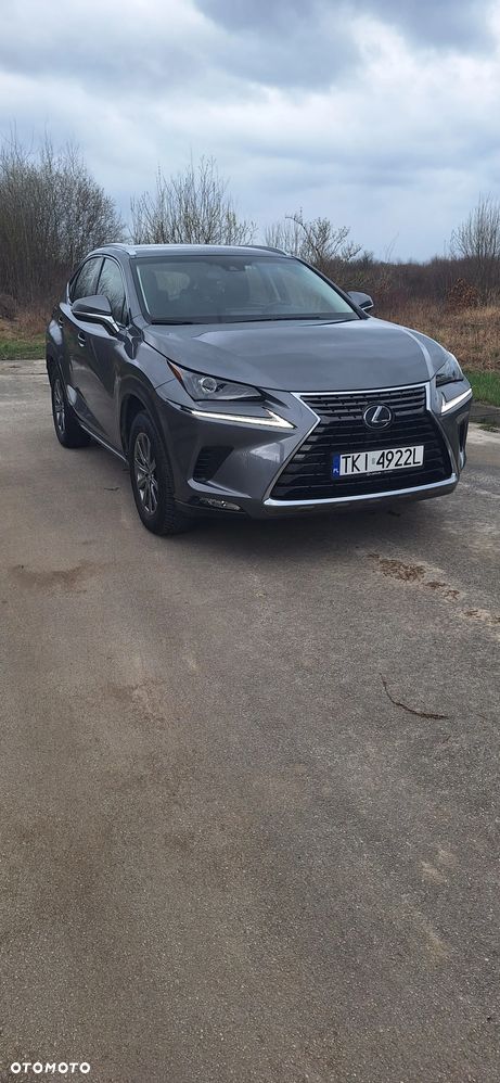 Lexus NX - 33