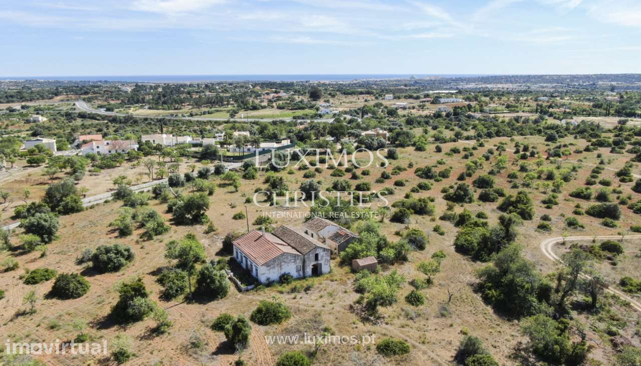 Quinta Rural, para venda, Pêra, Alcantarilha - Grande imagem: 2/22