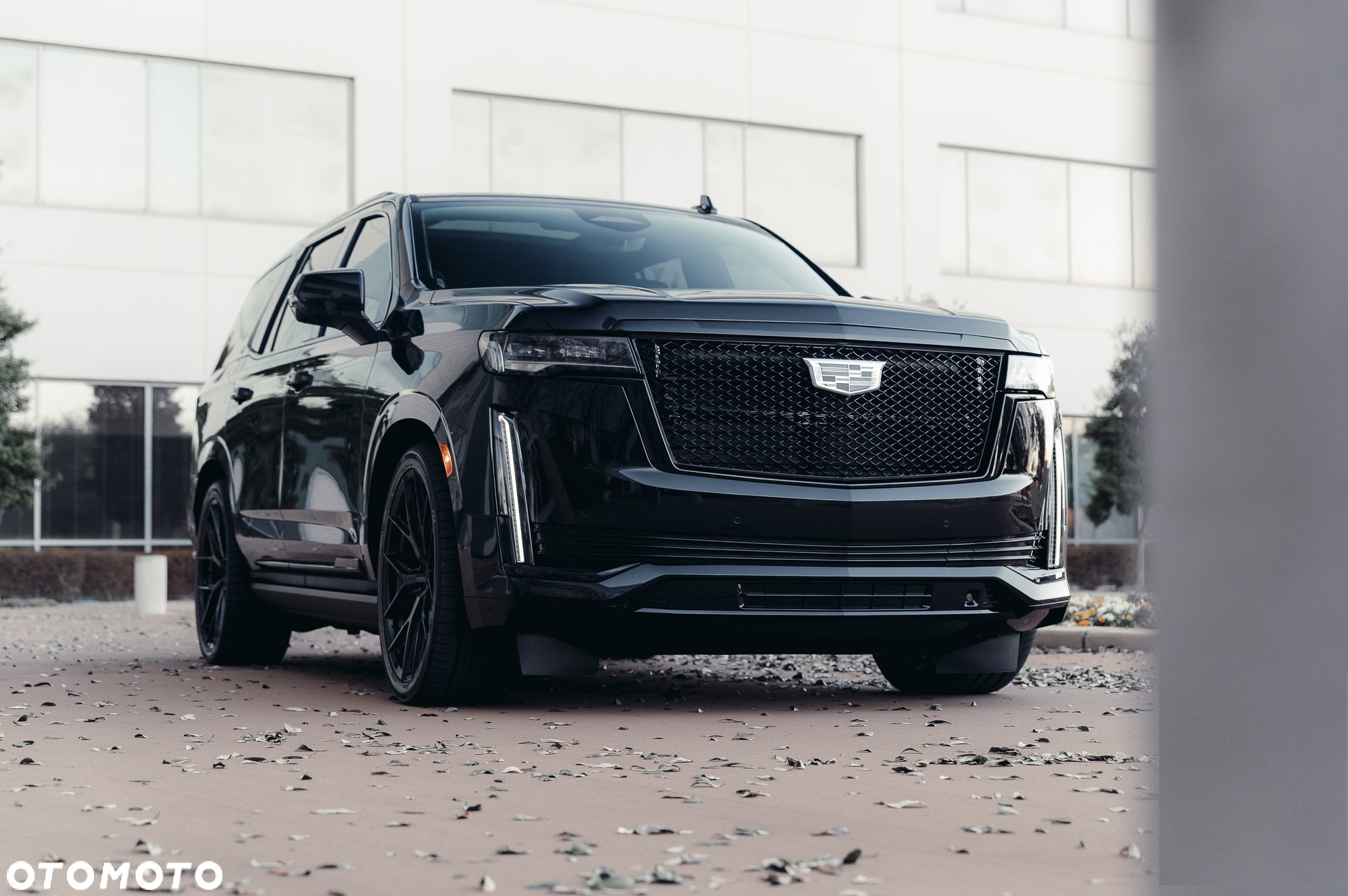 Cadillac Escalade - 11