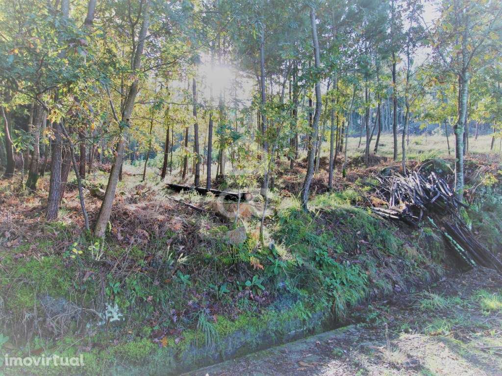 Terreno em Barcelos! - Grande imagem: 3/10