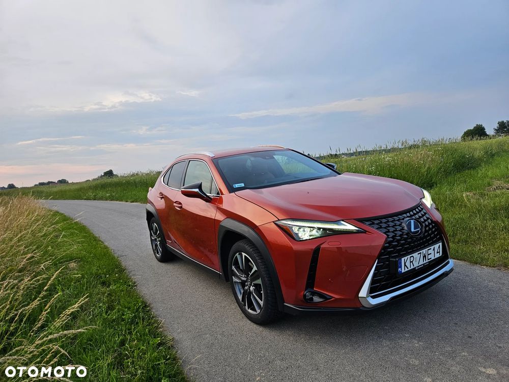 Lexus UX 250h GPF Omotenashi AWD - 13