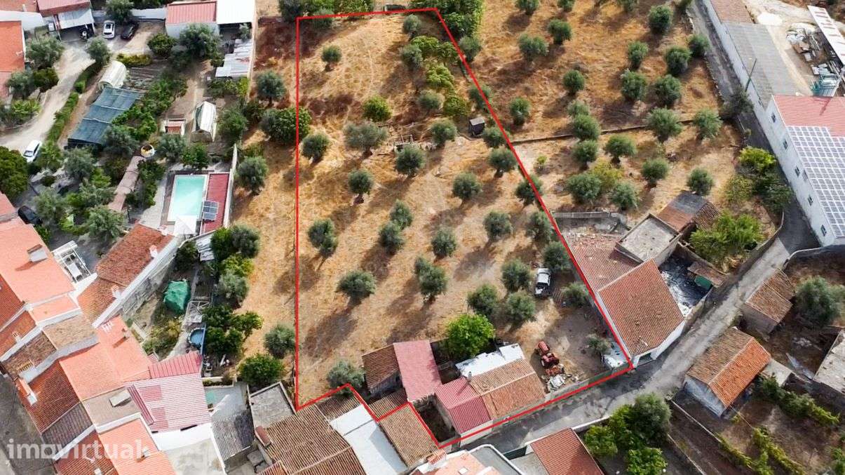Terreno urbano e rústico com 2.747 m² em Tolosa, Nisa - Grande imagem: 3/17