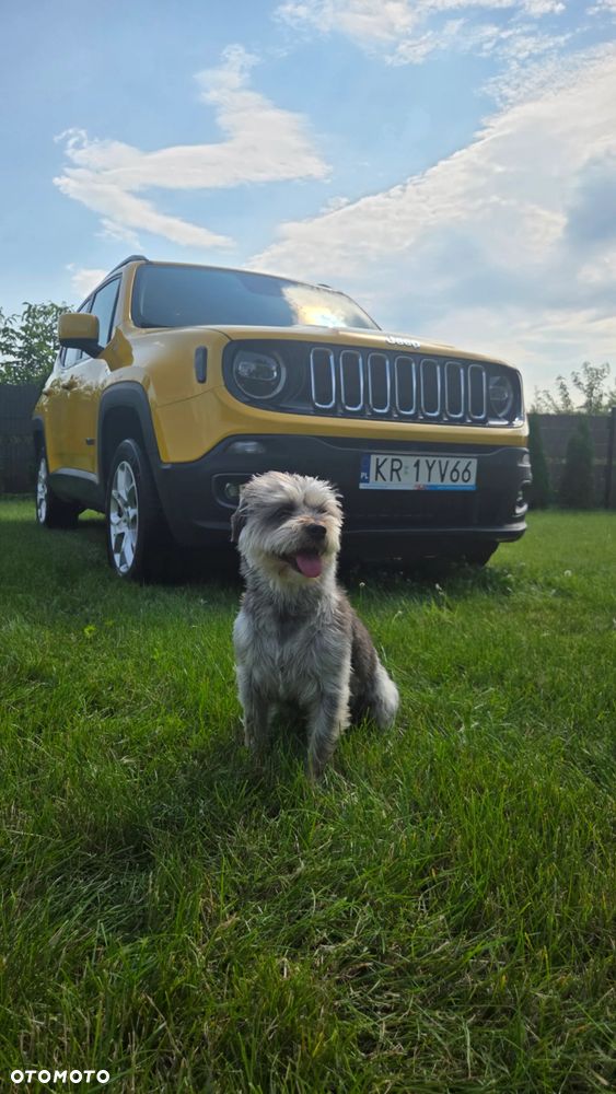 Jeep Renegade - 19