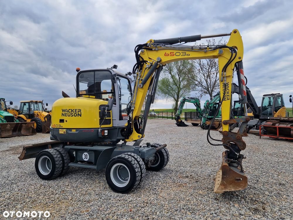 Wacker Neuson 6503 - 1