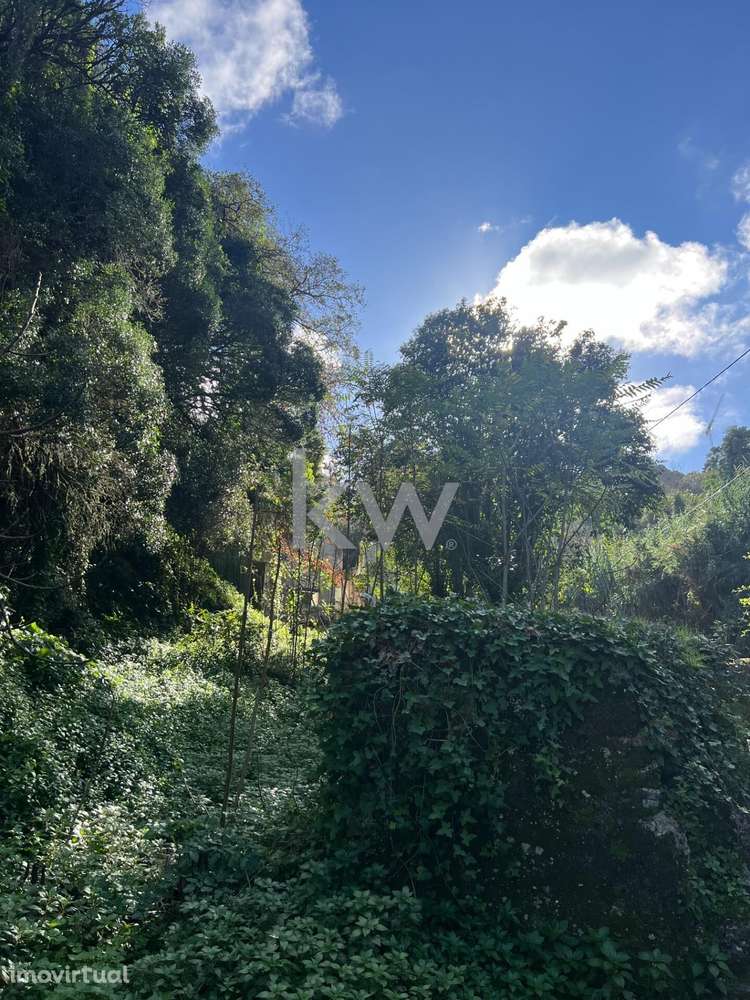 TERRENO URBANO SINTRA - 3.066,m2 C/RUÍNAS - Grande imagem: 4/13