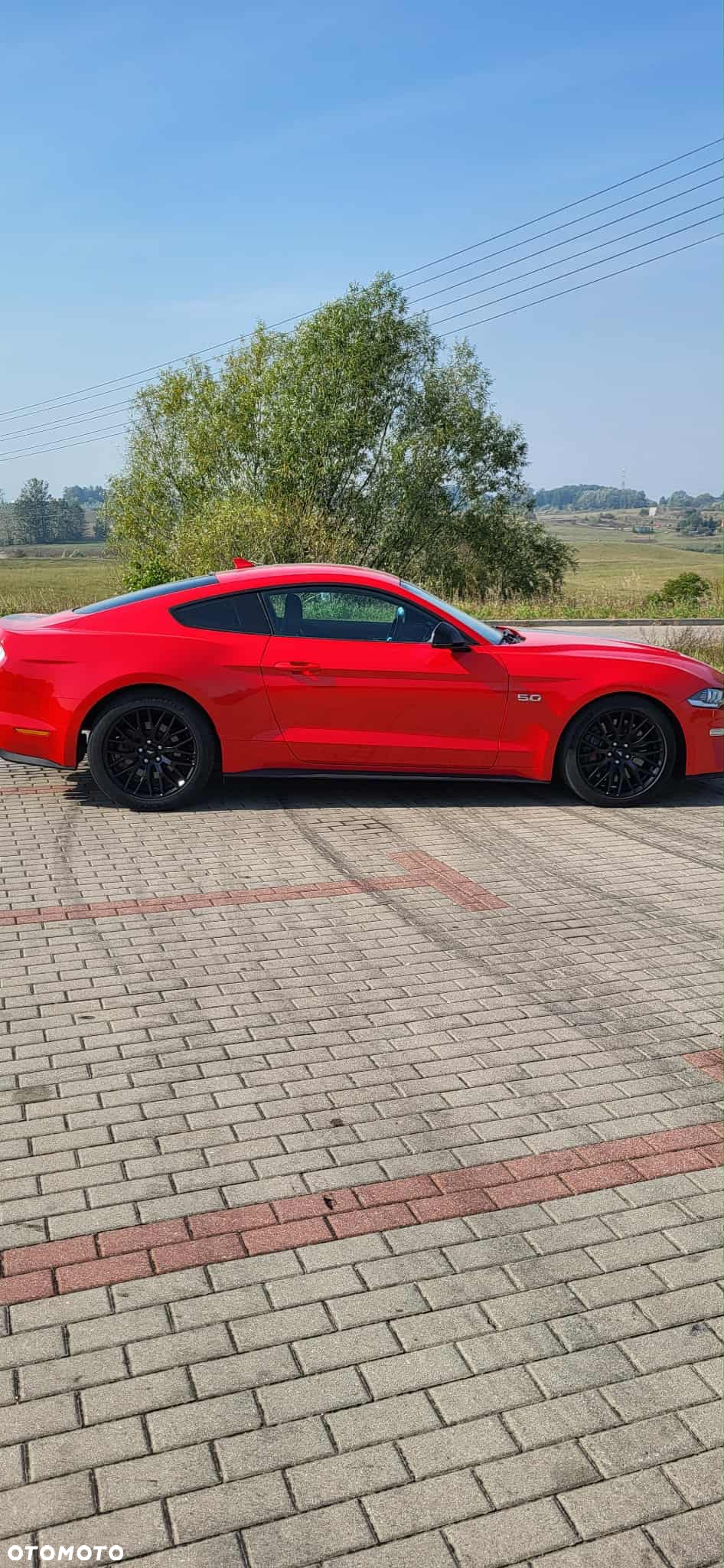 Ford Mustang 5.0 V8 GT - 4